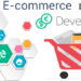 Ecommerce Development